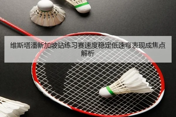 维斯塔潘新加坡站练习赛速度稳定低速弯表现成焦点解析